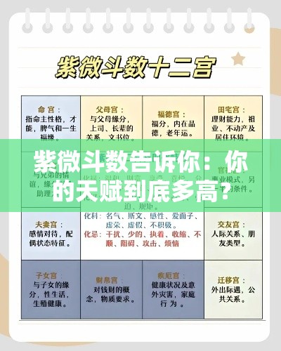 紫微斗数告诉你：你的天赋到底多高？