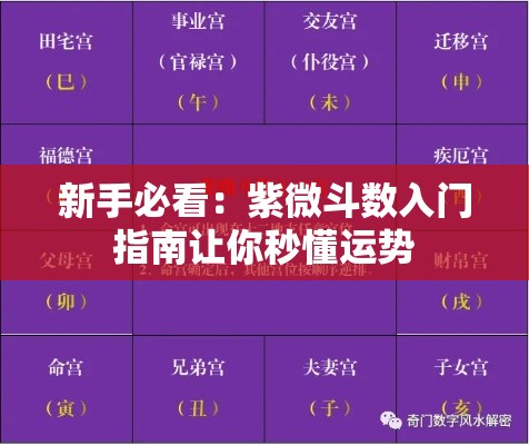 新手必看：紫微斗数入门指南让你秒懂运势