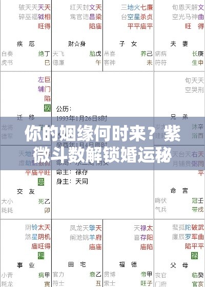 你的姻缘何时来？紫微斗数解锁婚运秘密