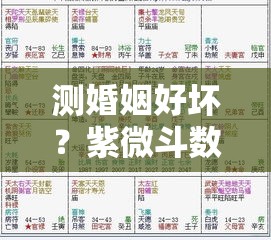 测婚姻好坏？紫微斗数教你避开感情里的坑