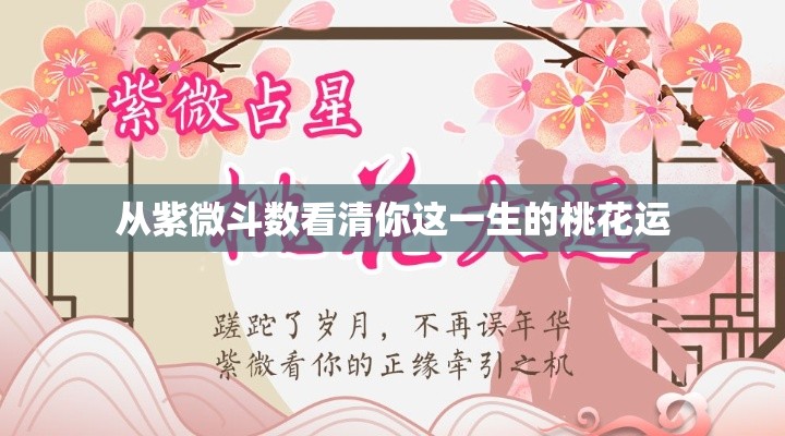 从紫微斗数看清你这一生的桃花运