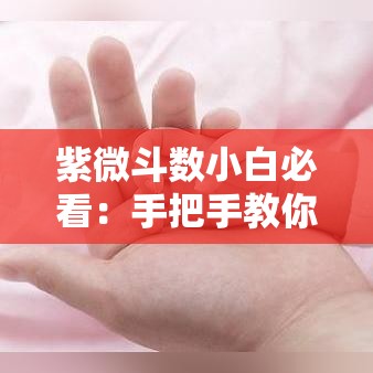 紫微斗数小白必看：手把手教你掌握人生运势