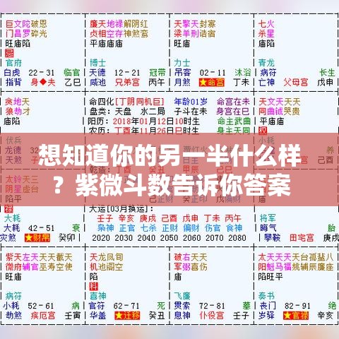 想知道你的另一半什么样？紫微斗数告诉你答案