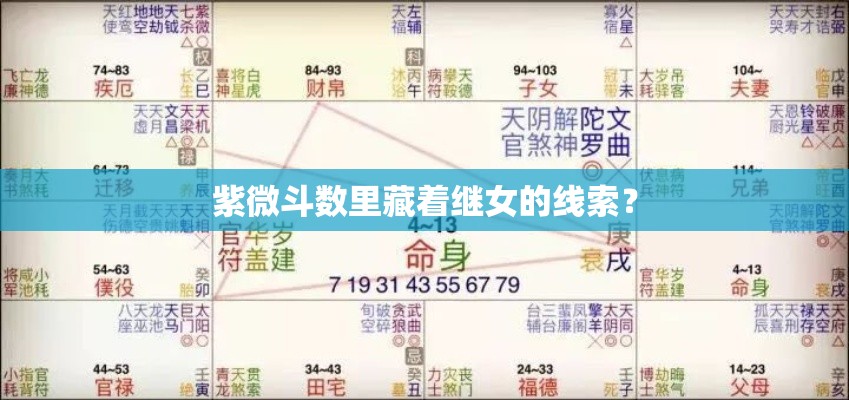 紫微斗数里藏着继女的线索？