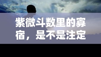 紫微斗数里的寡宿，是不是注定孤独终老？
