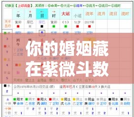 你的婚姻藏在紫微斗数的八座星里