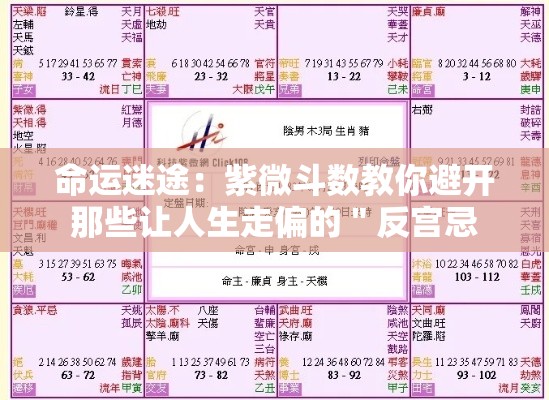命运迷途：紫微斗数教你避开那些让人生走偏的＂反宫忌