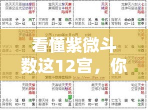 看懂紫微斗数这12宫，你的命盘才算没白算
