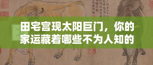 田宅宫现太阳巨门，你的家运藏着哪些不为人知的玄机？