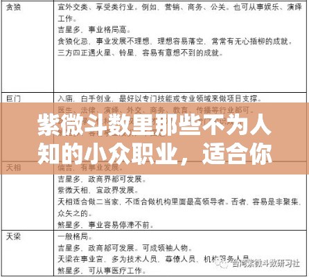 紫微斗数里那些不为人知的小众职业，适合你吗？