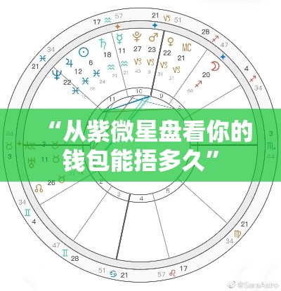 “从紫微星盘看你的钱包能捂多久”