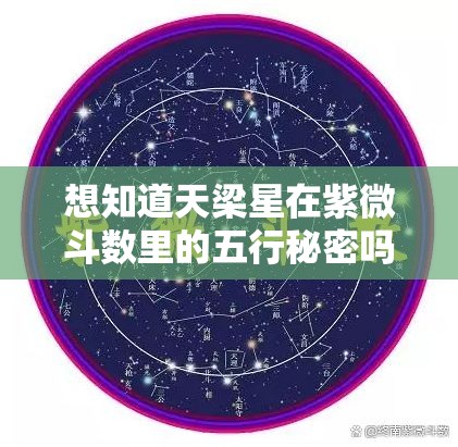 想知道天梁星在紫微斗数里的五行秘密吗？