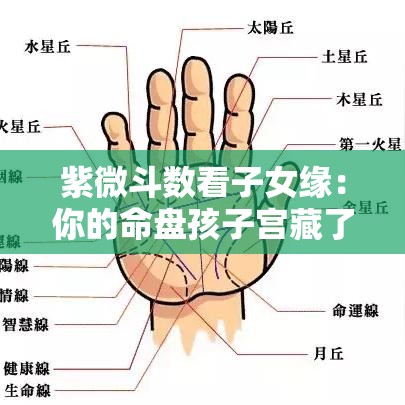 紫微斗数看子女缘：你的命盘孩子宫藏了哪些玄机？