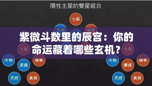 紫微斗数里的辰宫：你的命运藏着哪些玄机？