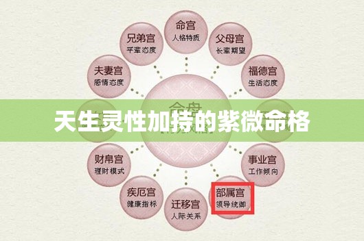 天生灵性加持的紫微命格