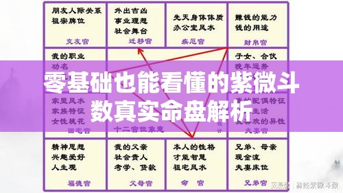 零基础也能看懂的紫微斗数真实命盘解析