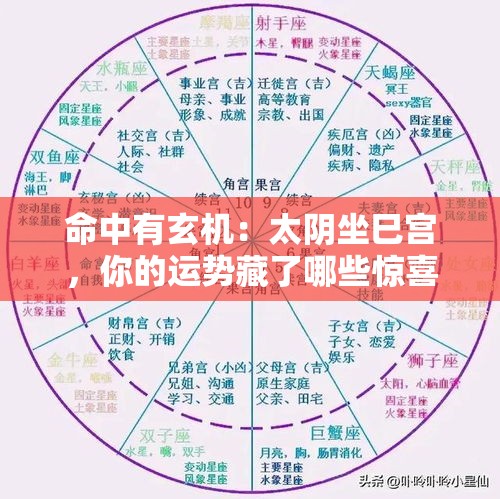 命中有玄机：太阴坐巳宫，你的运势藏了哪些惊喜？