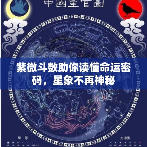 紫微斗数助你读懂命运密码，星象不再神秘