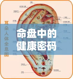 命盘中的健康密码：你的器官到底在说什么