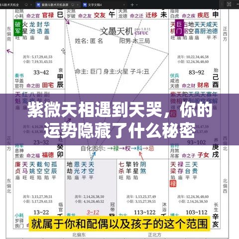 紫微天相遇到天哭，你的运势隐藏了什么秘密