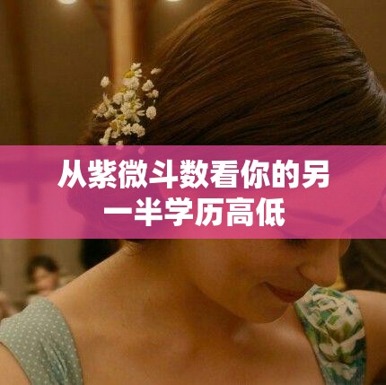 从紫微斗数看你的另一半学历高低