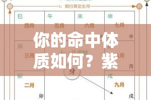你的命中体质如何？紫微斗数告诉你