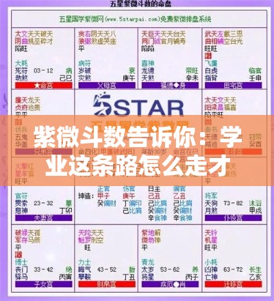 紫微斗数告诉你：学业这条路怎么走才顺