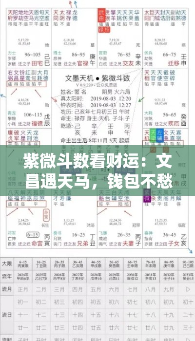 紫微斗数看财运：文昌遇天马，钱包不愁花