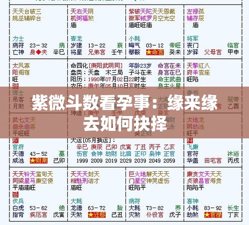紫微斗数看孕事：缘来缘去如何抉择