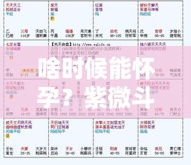 啥时候能怀孕？紫微斗数给你答案