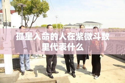 孤星入命的人在紫微斗数里代表什么