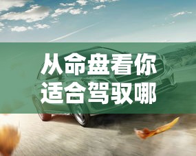 从命盘看你适合驾驭哪款座驾