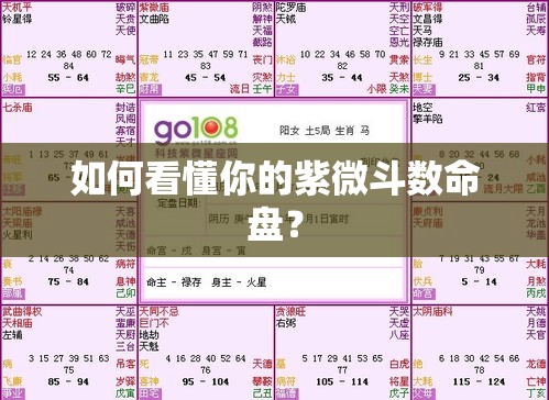 如何看懂你的紫微斗数命盘？