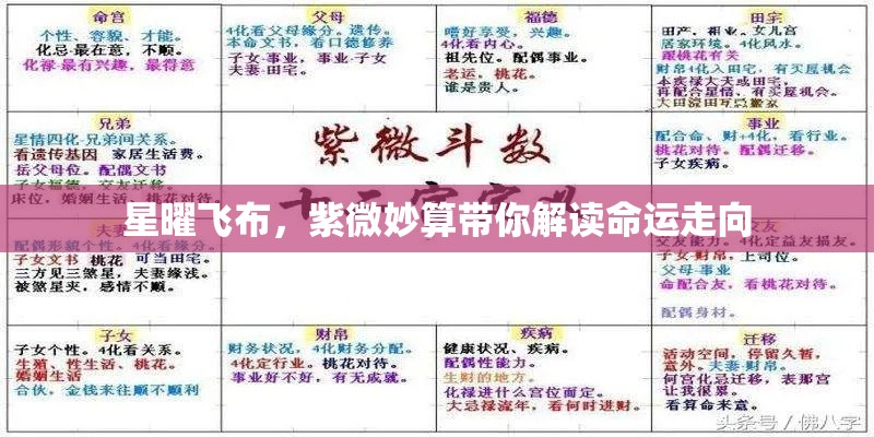 星曜飞布，紫微妙算带你解读命运走向