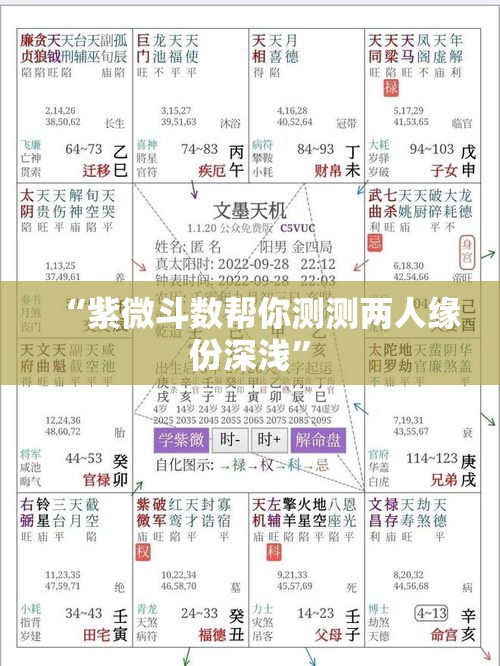 “紫微斗数帮你测测两人缘份深浅”