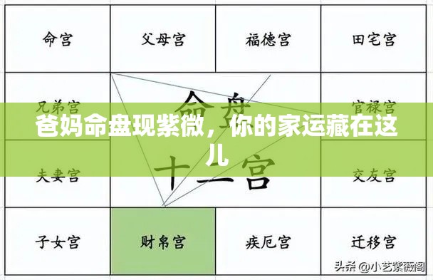 爸妈命盘现紫微，你的家运藏在这儿