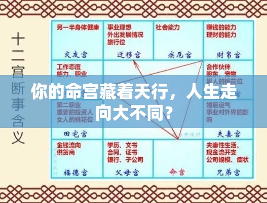 你的命宫藏着天行，人生走向大不同？