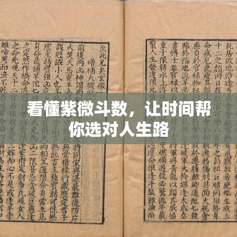 看懂紫微斗数，让时间帮你选对人生路