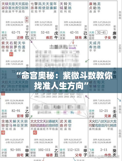 “命宫奥秘：紫微斗数教你找准人生方向”