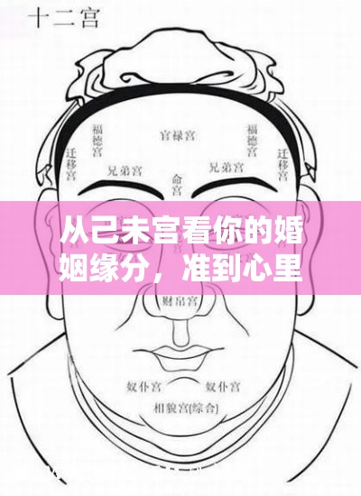 从己未宫看你的婚姻缘分，准到心里发慌