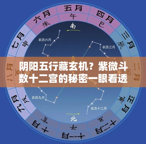 阴阳五行藏玄机？紫微斗数十二宫的秘密一眼看透