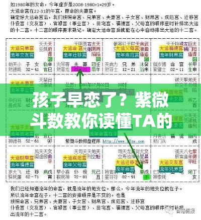 孩子早恋了？紫微斗数教你读懂TA的命盘密码