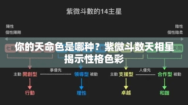 你的天命色是哪种？紫微斗数天相星揭示性格色彩