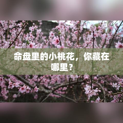 命盘里的小桃花，你藏在哪里？