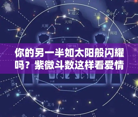 你的另一半如太阳般闪耀吗？紫微斗数这样看爱情