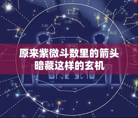 原来紫微斗数里的箭头暗藏这样的玄机