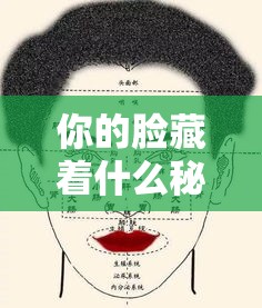 你的脸藏着什么秘密？紫微斗数解析真实容颜