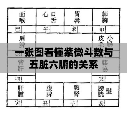 一张图看懂紫微斗数与五脏六腑的关系