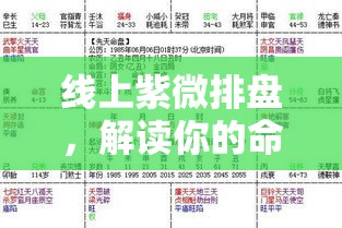 线上紫微排盘，解读你的命理天机