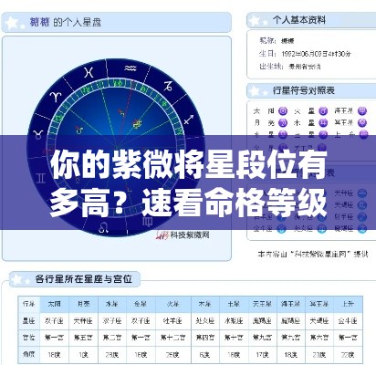 你的紫微将星段位有多高？速看命格等级